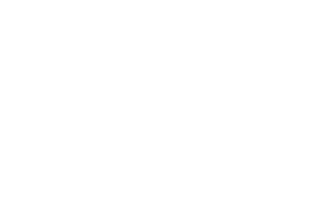 BitBucks Logo